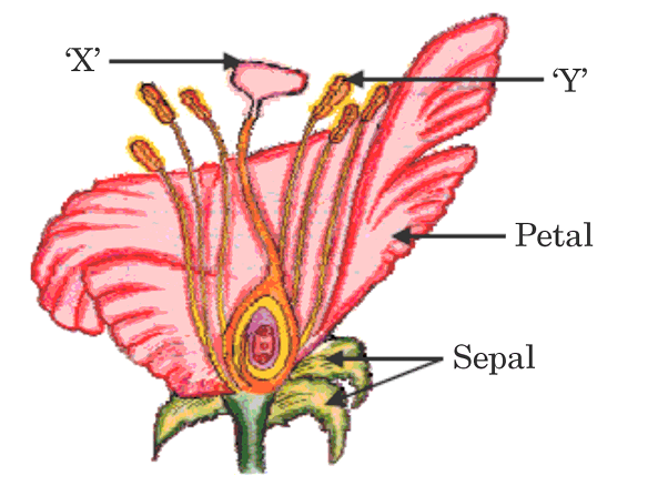 2025-31-3-QuestionNumber36a(i).png